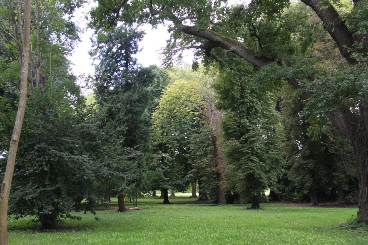 Chateau Le Mas De Montet Petit-Bersac Екстер'єр фото